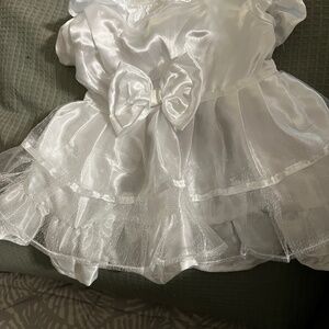 Cat or small dog wedding gown costume